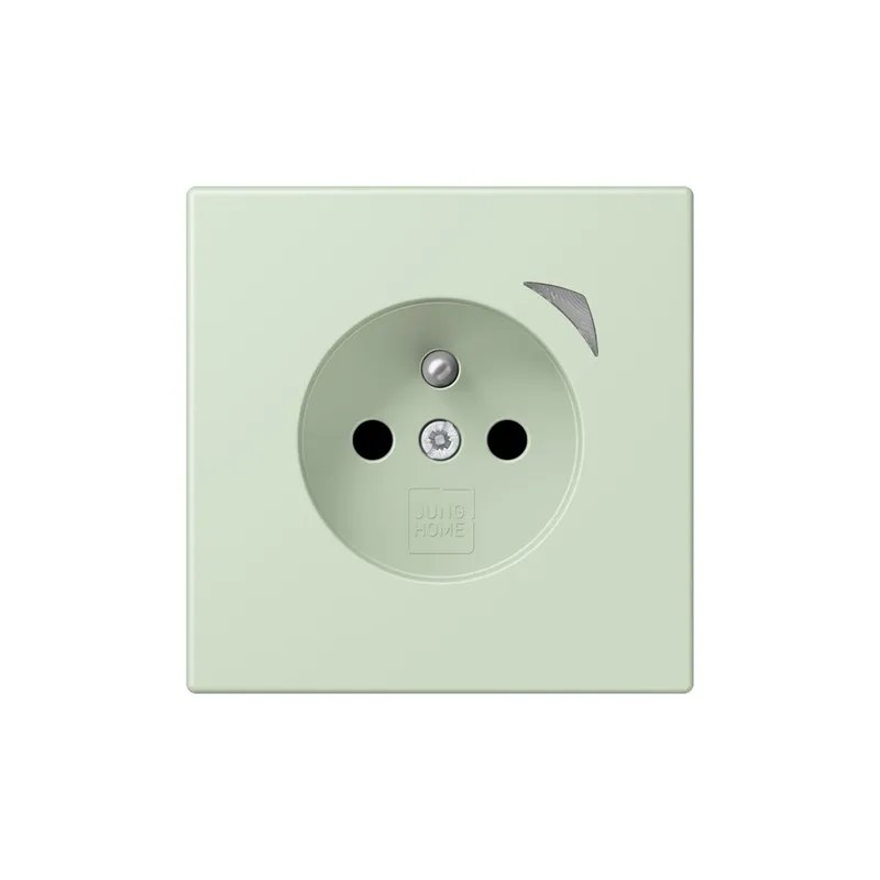 Jung Steckdose BTLC1521FS218 HOME franz belg