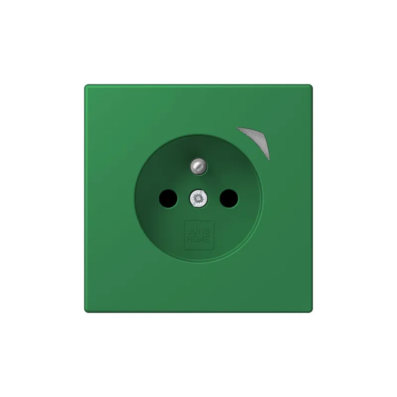 Jung Steckdose BTLC1521FSE219 HOME Energy franz