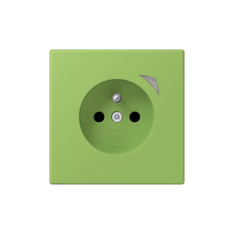 Jung Steckdose BTLC1521FS220 HOME franz belg