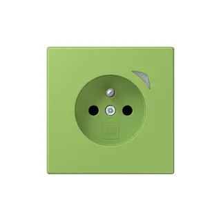 Jung Steckdose BTLC1521FSE220 HOME Energy franz
