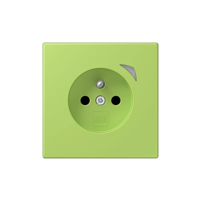 Jung Steckdose BTLC1521FS221 HOME franz belg