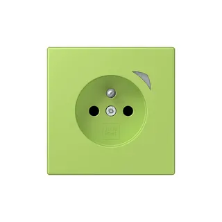 Jung Steckdose BTLC1521FSE221 HOME Energy franz