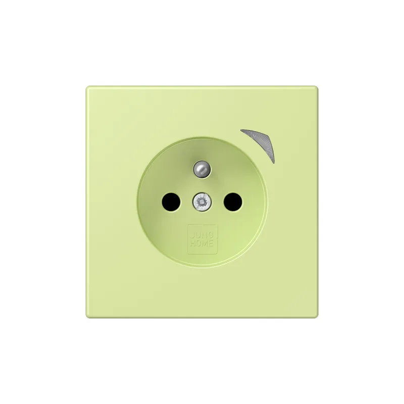 Jung Steckdose BTLC1521FS222 HOME franz belg