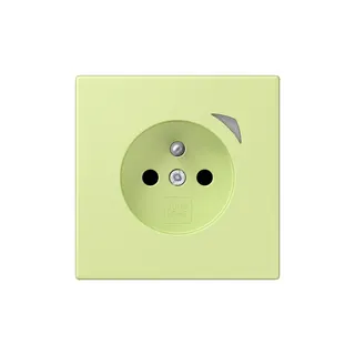 Jung Steckdose BTLC1521FSE222 HOME Energy franz