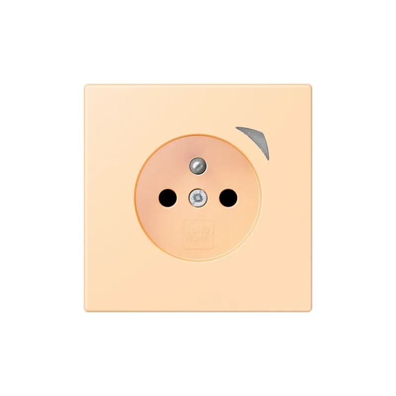 Jung Steckdose BTLC1521FS223 HOME franz belg
