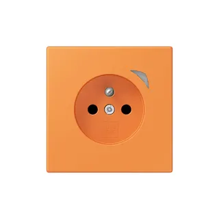 Jung Steckdose BTLC1521FSE225 HOME Energy franz