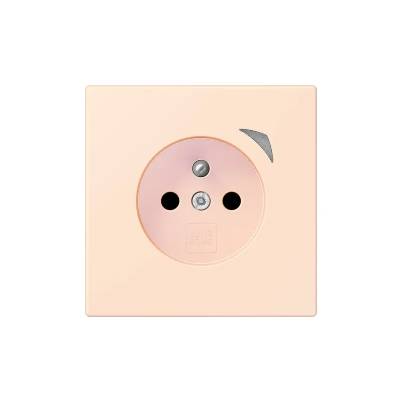 Jung Steckdose BTLC1521FSE226 HOME Energy franz