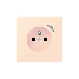 Jung Steckdose BTLC1521FSE226 HOME Energy franz