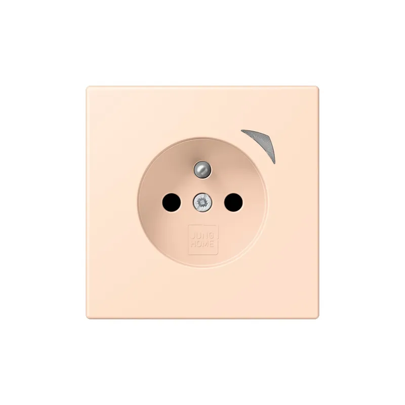 Jung Steckdose BTLC1521FS228 HOME franz belg