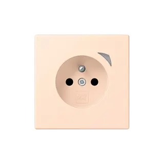 Jung Steckdose BTLC1521FSE228 HOME Energy franz