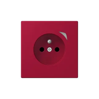 Jung Steckdose BTLC1521FSE229 HOME Energy franz