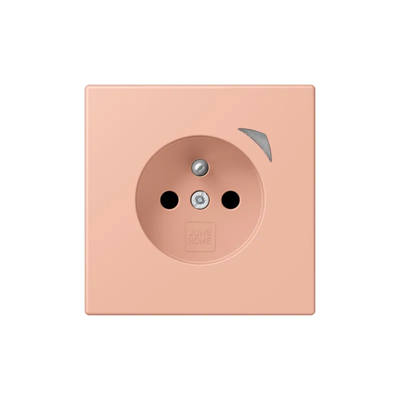 Jung Steckdose BTLC1521FS231 HOME franz belg