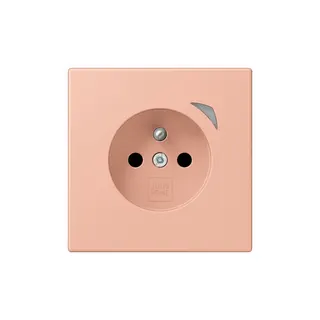 Jung Steckdose BTLC1521FSE231 HOME Energy franz