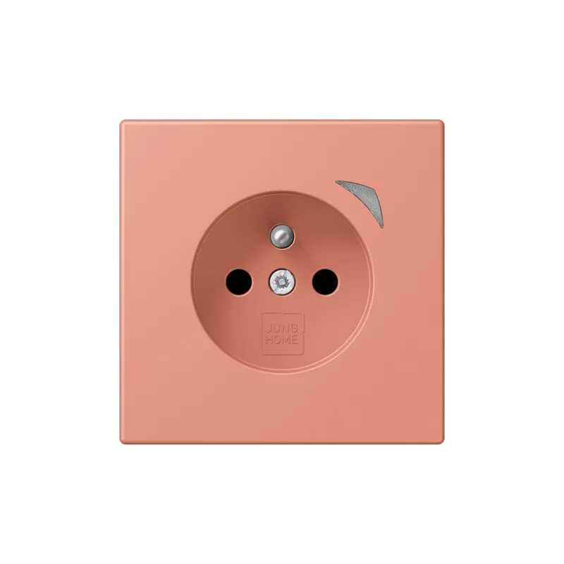 Jung Steckdose BTLC1521FS233 HOME franz belg