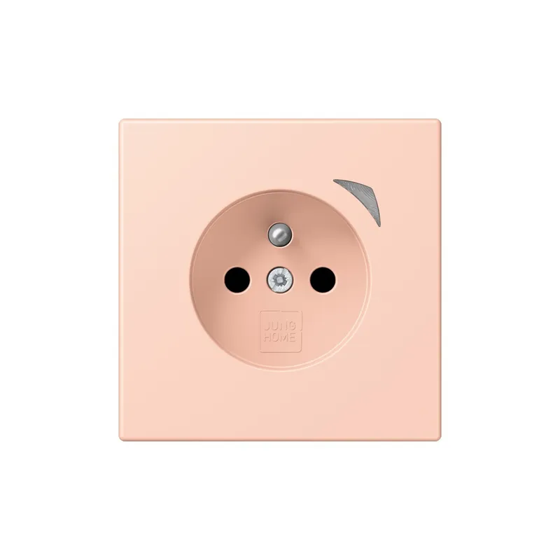 Jung Steckdose BTLC1521FSE234 HOME Energy franz