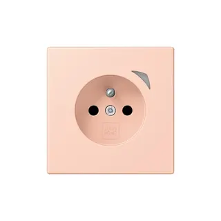 Jung Steckdose BTLC1521FSE234 HOME Energy franz