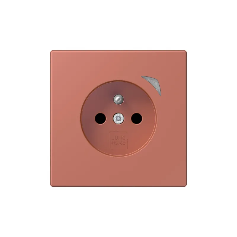 Jung Steckdose BTLC1521FS236 HOME franz belg