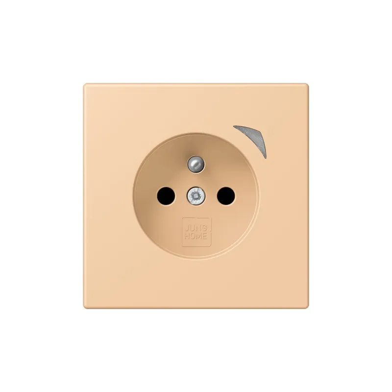 Jung Steckdose BTLC1521FS237 HOME franz belg
