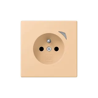 Jung Steckdose BTLC1521FSE237 HOME Energy franz