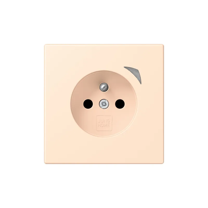 Jung Steckdose BTLC1521FS238 HOME franz belg