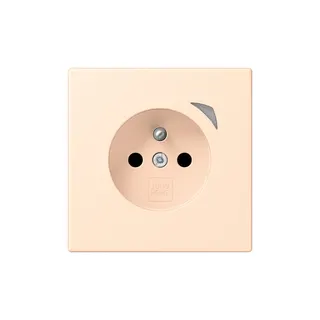 Jung Steckdose BTLC1521FSE238 HOME Energy franz