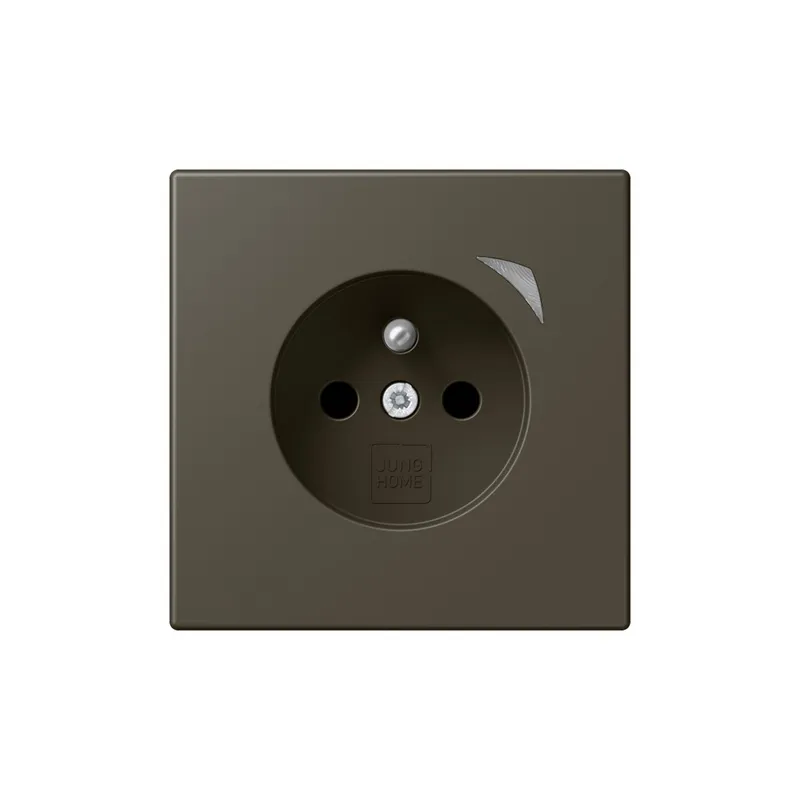 Jung Steckdose BTLC1521FS241 HOME franz belg