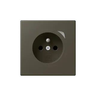 Jung Steckdose BTLC1521FSE241 HOME Energy franz