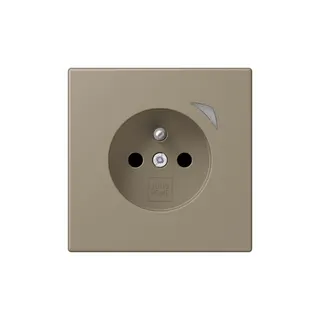 Jung Steckdose BTLC1521FSE242 HOME Energy franz