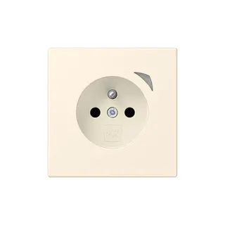 Jung Steckdose BTLC1521FSE245 HOME Energy franz