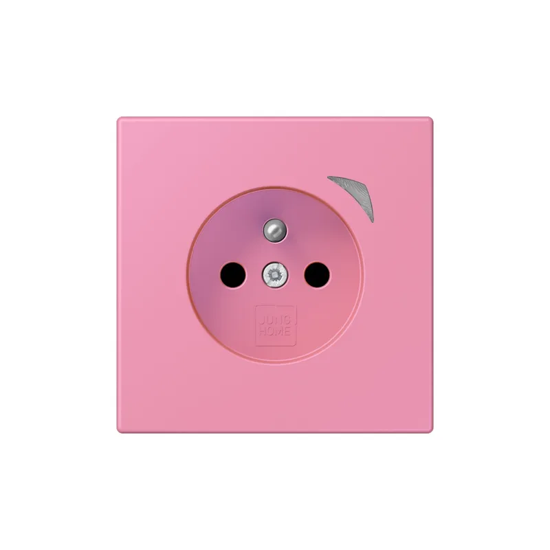 Jung Steckdose BTLC1521FSE246 HOME Energy franz