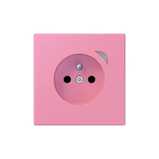 Jung Steckdose BTLC1521FSE246 HOME Energy franz