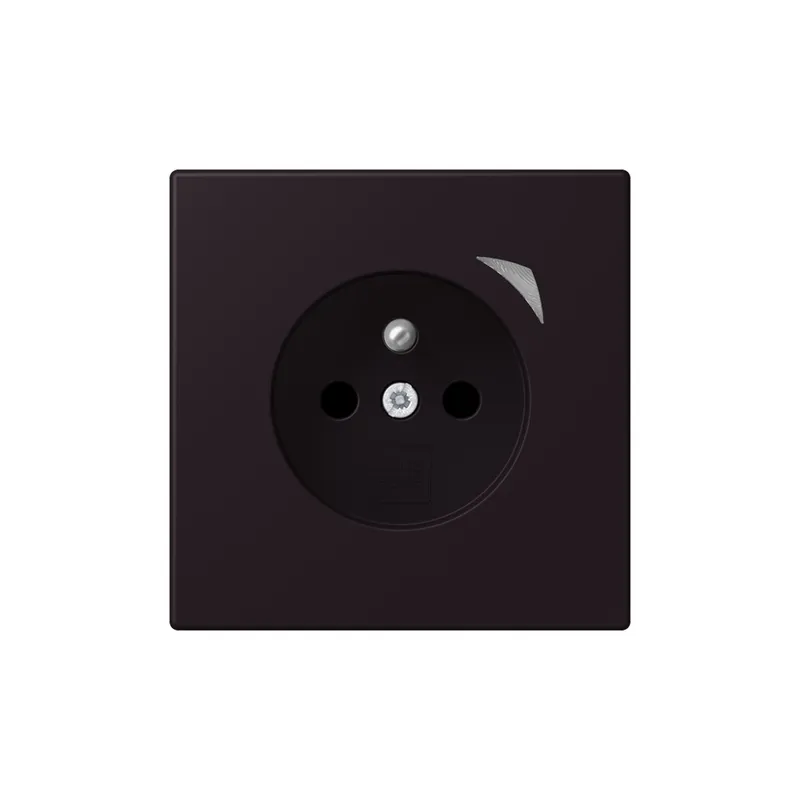 Jung Steckdose BTLC1521FS248 HOME franz belg