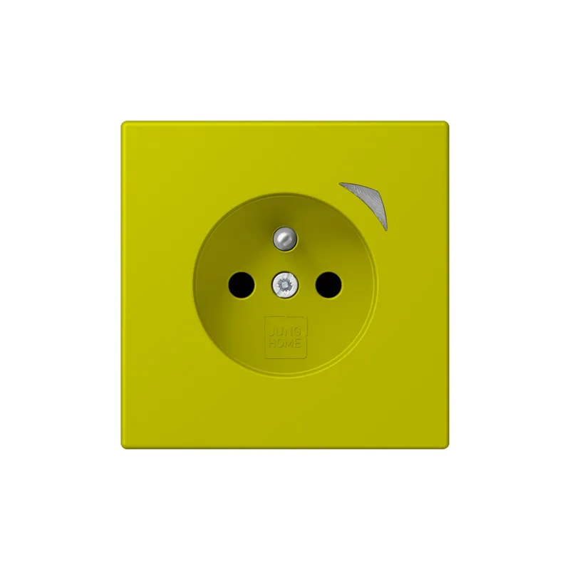 Jung Steckdose BTLC1521FS249 HOME franz belg