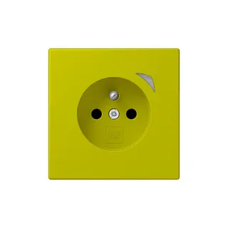 Jung Steckdose BTLC1521FSE249 HOME Energy franz