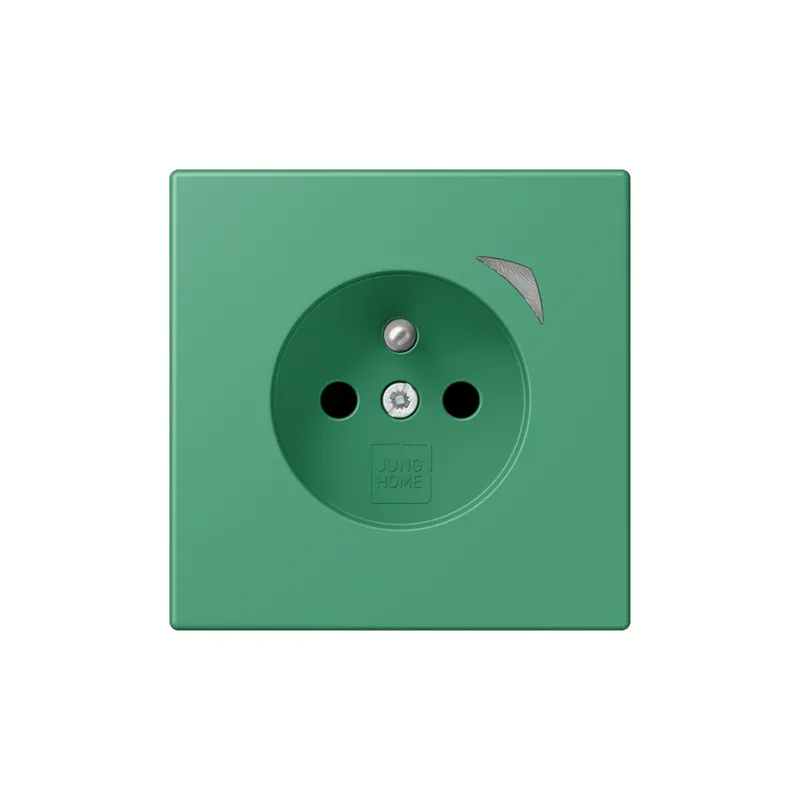 Jung Steckdose BTLC1521FS250 HOME franz belg