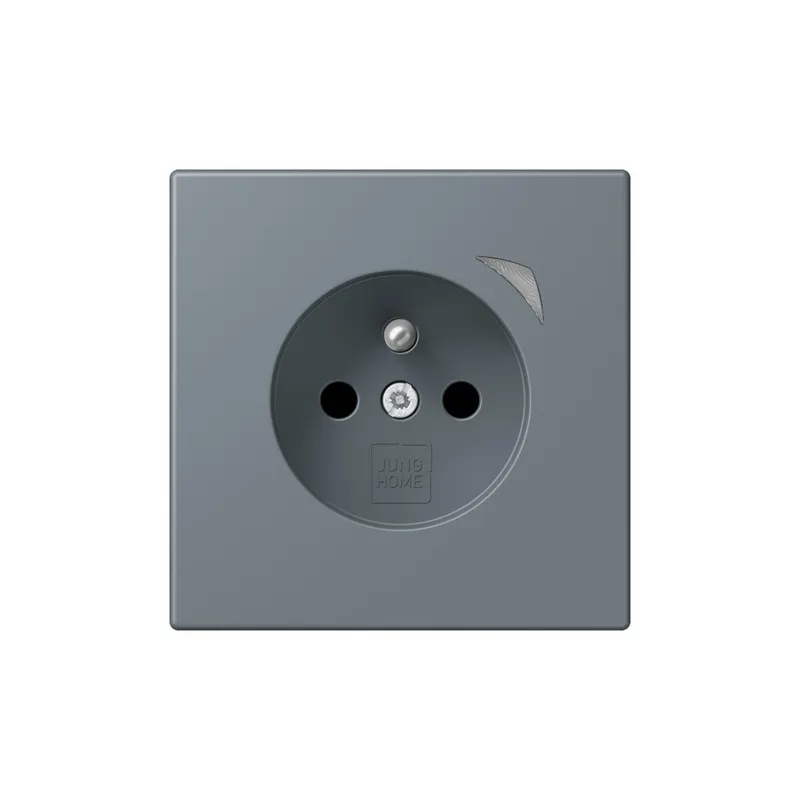 Jung Steckdose BTLC1521FS251 HOME franz belg