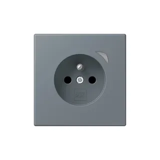 Jung Steckdose BTLC1521FSE251 HOME Energy franz