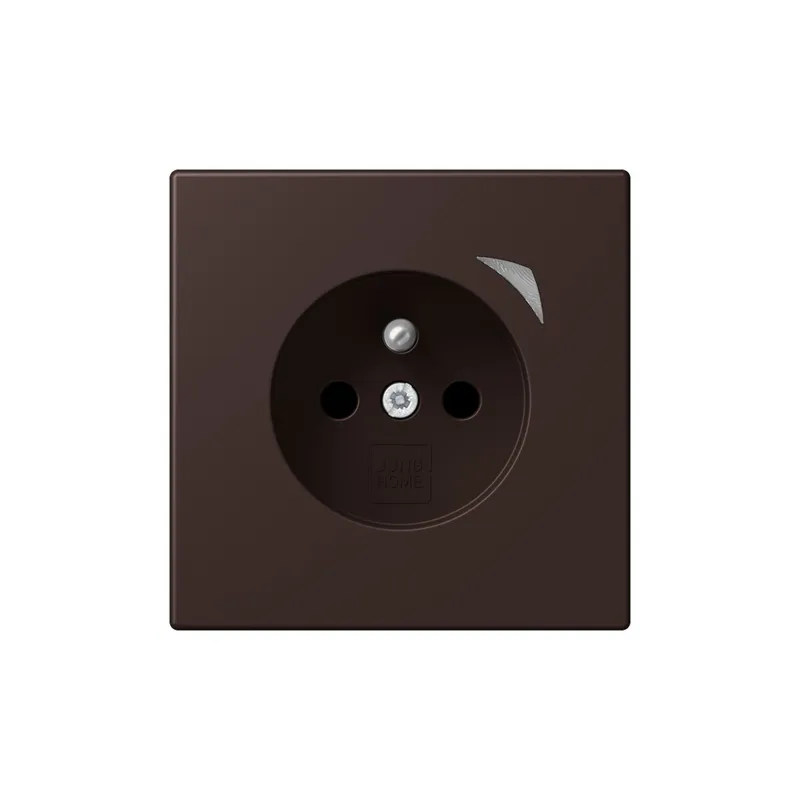 Jung Steckdose BTLC1521FS252 HOME franz belg