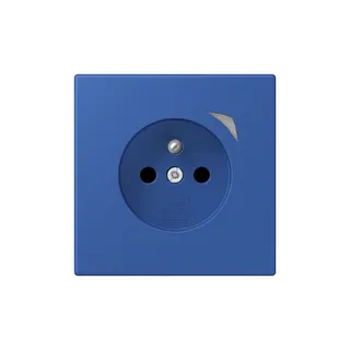 Jung Steckdose BTLC1521FSE253 HOME Energy franz