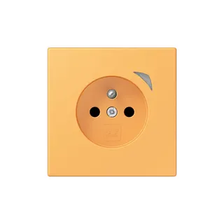 Jung Steckdose BTLC1521FSE254 HOME Energy franz
