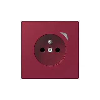 Jung Steckdose BTLC1521FSE255 HOME Energy franz