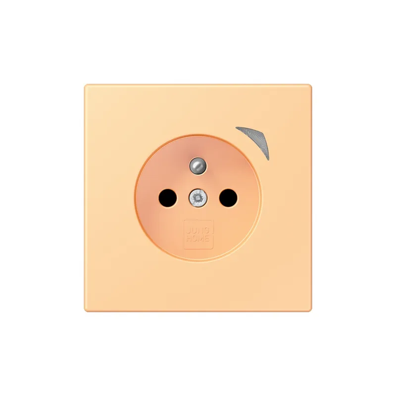 Jung Steckdose BTLC1521FSE258 HOME Energy franz