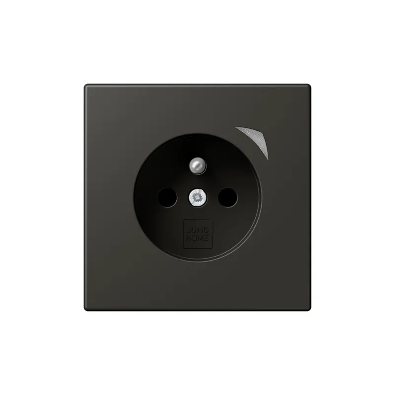 Jung Steckdose BTLC1521FSE259 HOME Energy franz