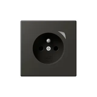 Jung Steckdose BTLC1521FSE259 HOME Energy franz