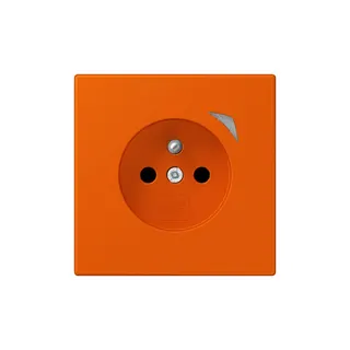 Jung Steckdose BTLC1521FSE260 HOME Energy franz