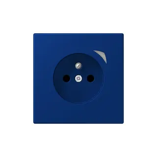 Jung Steckdose BTLC1521FSE261 HOME Energy franz