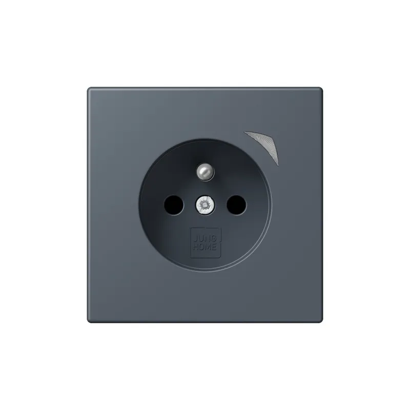 Jung Steckdose BTLC1521FS262 HOME franz belg