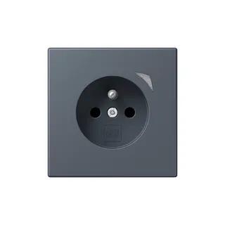 Jung Steckdose BTLC1521FSE262 HOME Energy franz