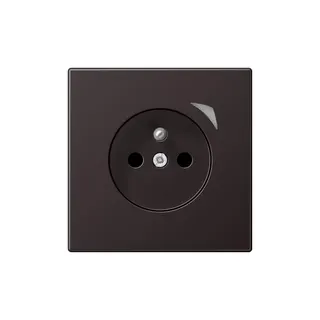 Jung Steckdose BTAL1521FSED-L HOME Energy franz