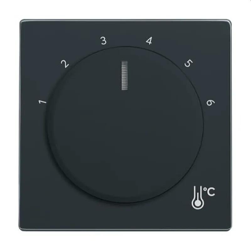 Busch-Jaeger Zentralscheibe 1794 R-81 Temperatur rund